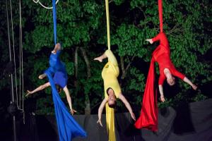 10514539_1456200121340347_8027521508452054856_n