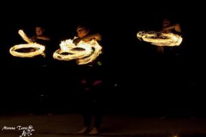 11428800_1454597524833940_9151663092081496034_n