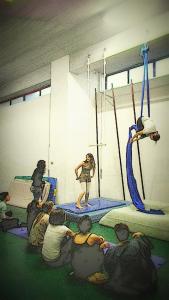 131916447_2460601667567298_2885350967882955422_o