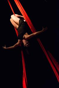 133367045_2465118290448969_4033174747029760306_o